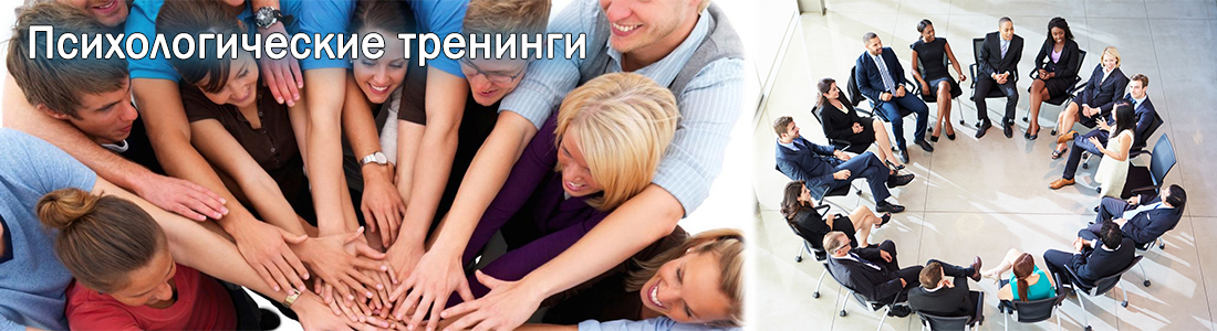 exhibition, mice, seminar, meetings
